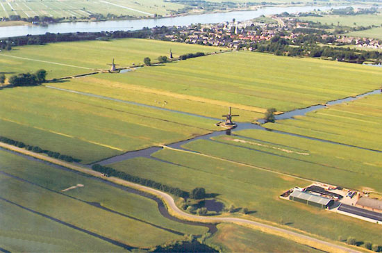 farm12.jpg