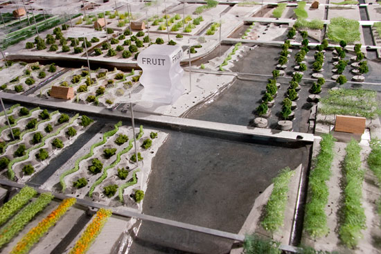 farm05.jpg