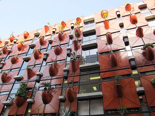 Organic-Building-3.jpg