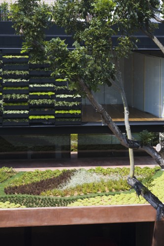1274193594-facade-planter-333x500.jpg