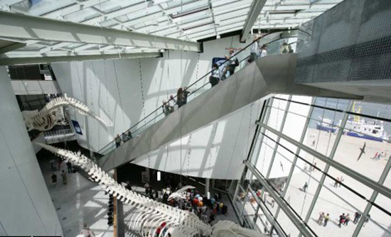 Ozeaneum_14.jpg