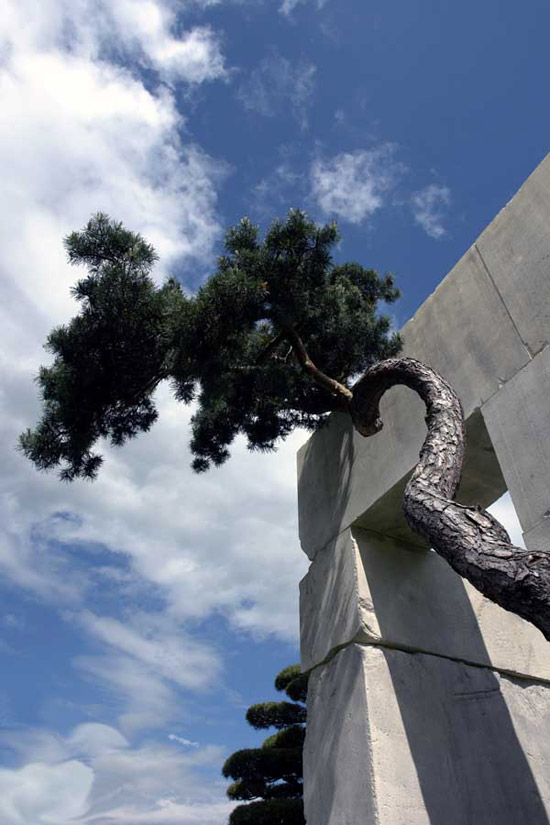 tree_museum_z140610_1.jpg