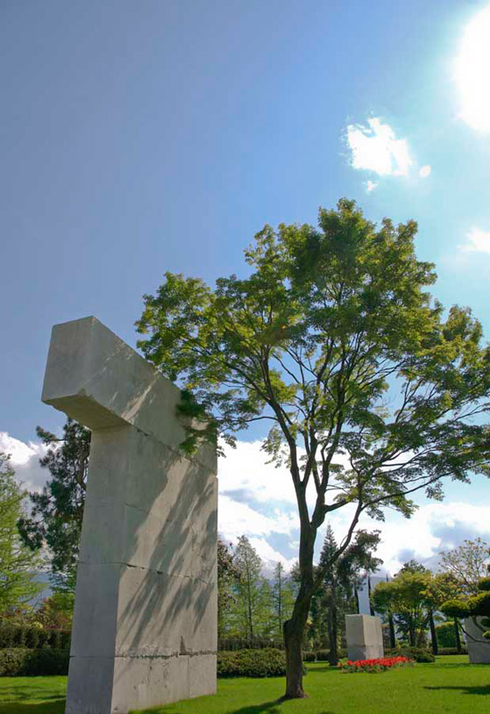 tree_museum_z140610_13.jpg