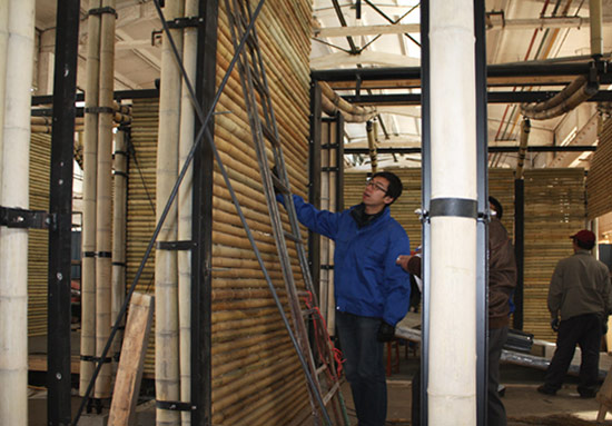 bamboo09.jpg