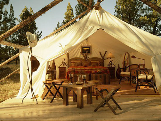 creeksidecamp_ten_pawsup-550x412.jpg