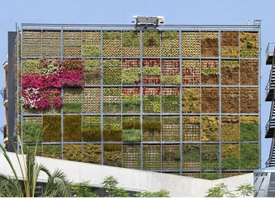 New_Green_Wall_01.jpg
