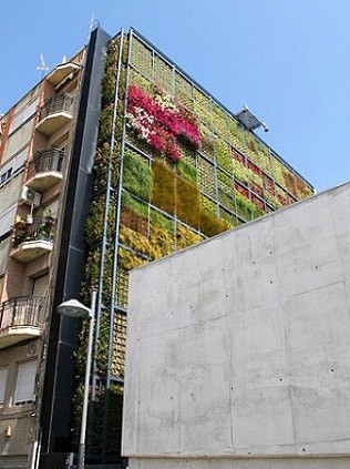 New_Green_Wall_02.jpg