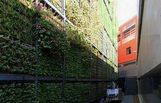 New_Green_Wall_05.jpg