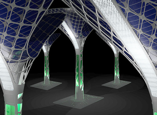 copy_0_warp__03.jpg