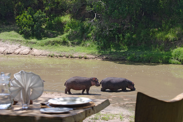 Lunch-by-Hippo-Pool-Main-Naibor.jpg