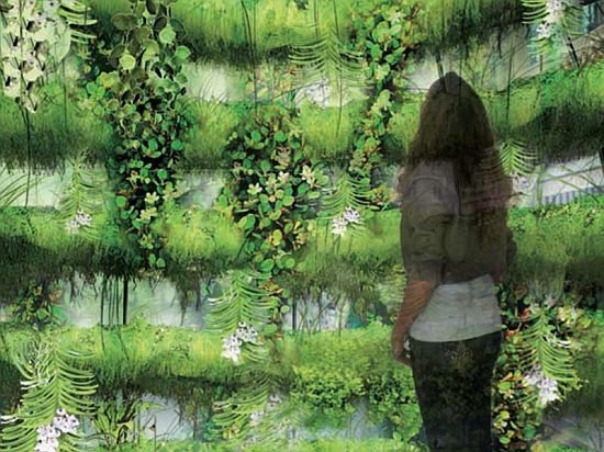 bubble-garden_2_V4OIO_69.jpg