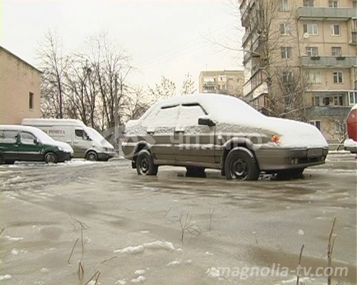 магнол.jpg