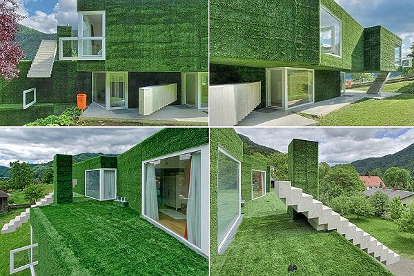 astroturf_house_01.jpg