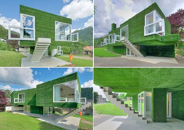 astroturf_house_02.jpg