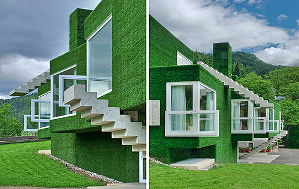 astroturf_house_04.jpg