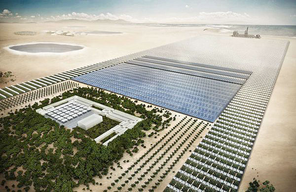 sahara-project-forest-oasis_icYkM_7071.jpg