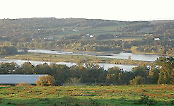 mcgibbon-island-1.jpg