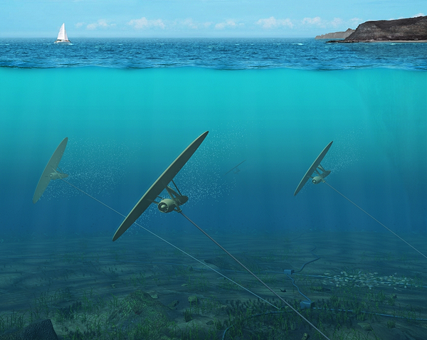 1255339877_kites_final_compressed-3.png