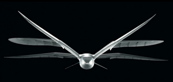 smartbird-3.png