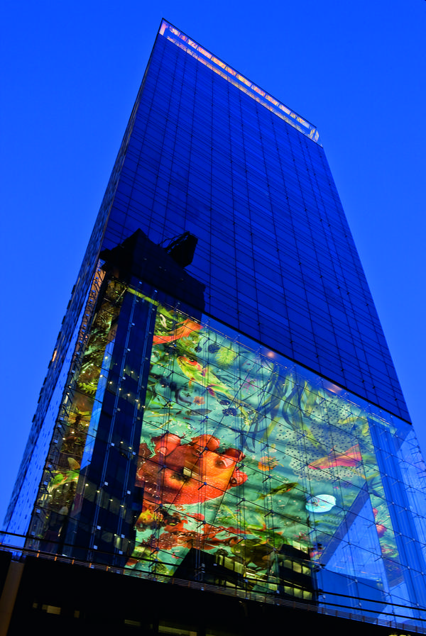 2215-04.jpg