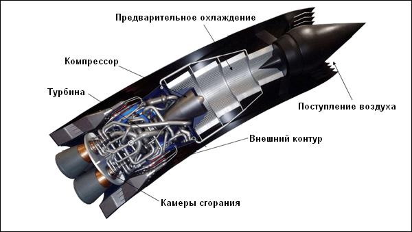 _52918042_sabre464.JPG