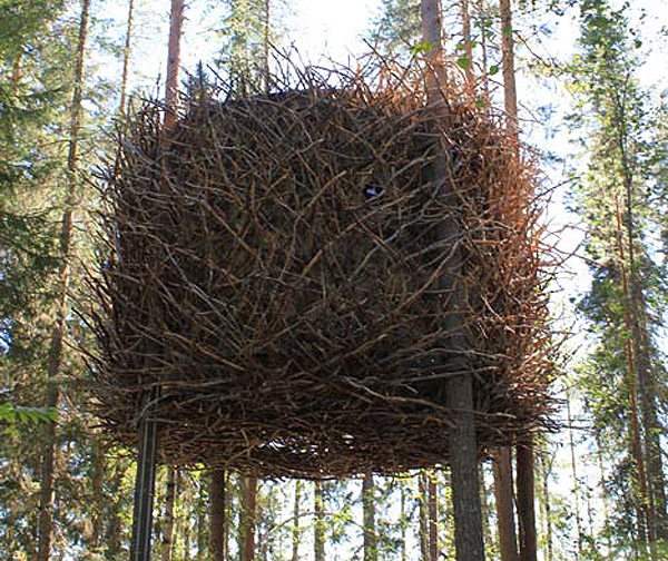 dezeen_-The-Birds-Nest-by-Inrednin-Gsgruppen-2.jpg