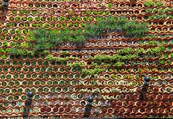 Ibiza-Vertical-Garden-Urbanarbolismo-2-537x368.jpg