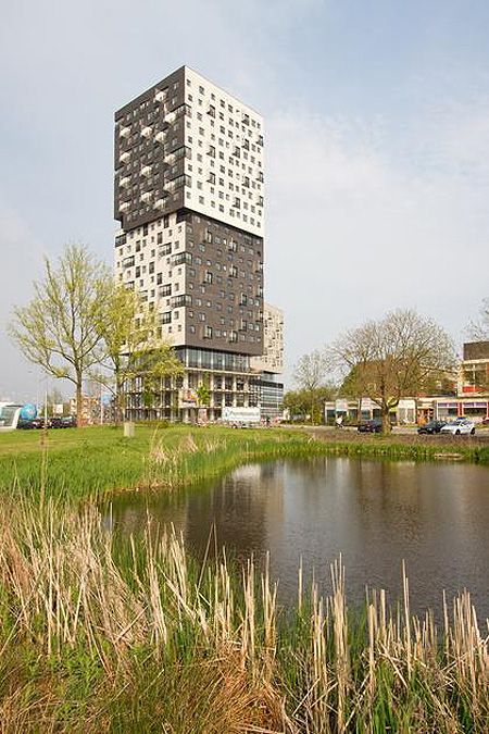 91561.jpg
