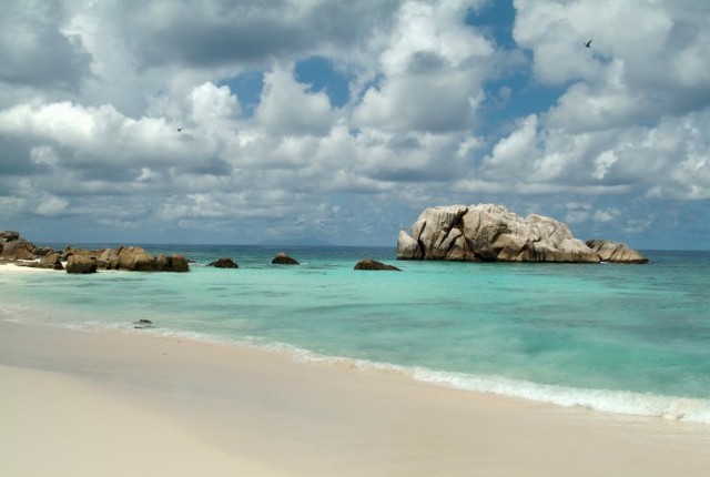 Cousin-Island-Seychelles-2.jpg