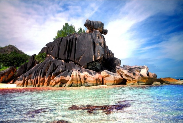 Cousin-Island-Seychelles-5.jpg