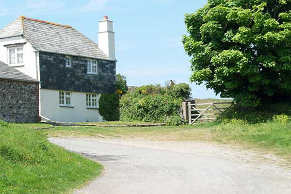 13520105.jpg
