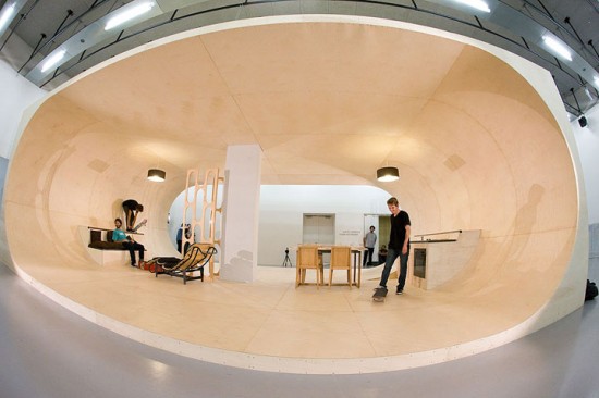 PASSkateboardHouse2-550x366.jpg