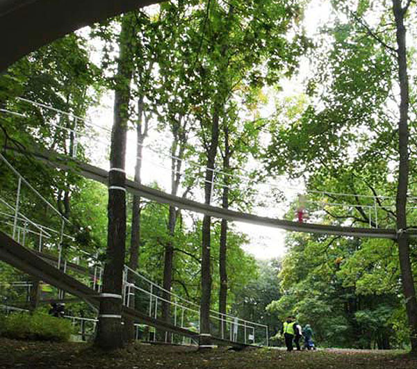 dezeen_A-Path-in-the-Forest-by-Tetsuo-Kondo-05.jpg
