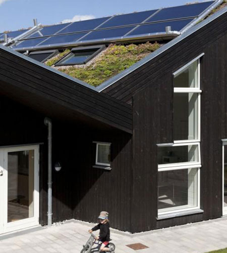 sunhouse-2-500x781.jpg