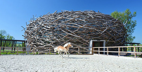 stork-nest-farm-sgl-projekt-3_jpg_1327675160.jpg