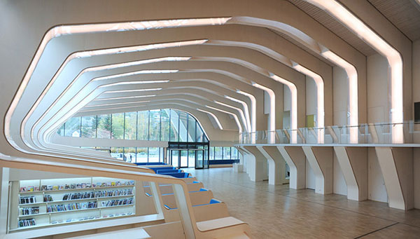 11_helen_hard_vennesla_library.jpg