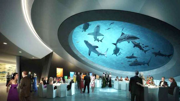 SHARK_105846.jpg