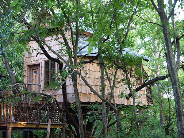 treehouse.jpg