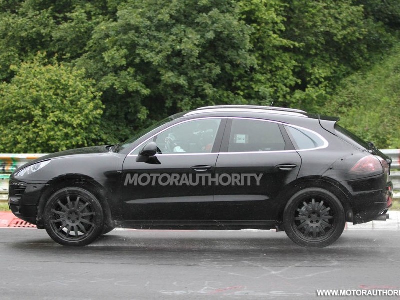 Macan spy_460977.jpg