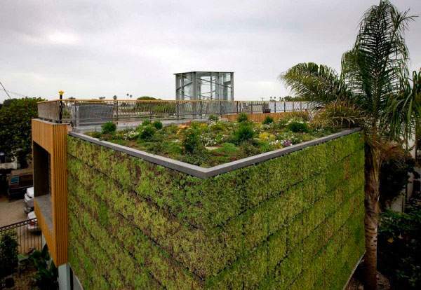 brooks-avenue-house-by-bricault-design_ed.jpg
