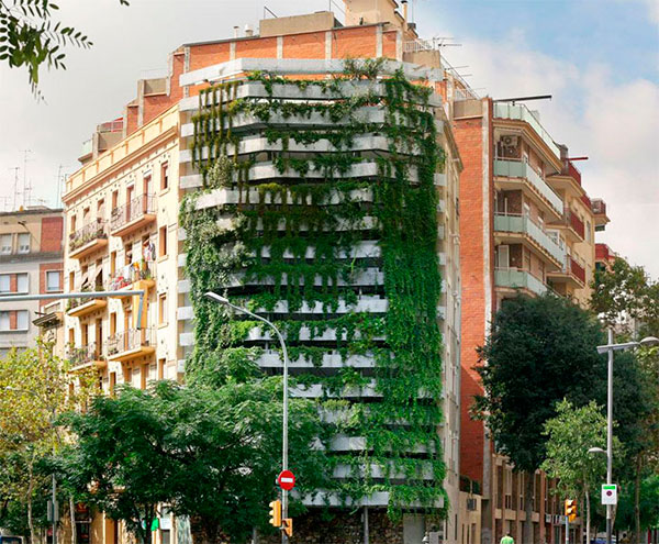 capella-garcia-green-wall.jpg