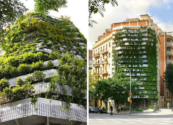 Green-Side-Wall-Capella-Garcia-Arquitectura-6.jpg