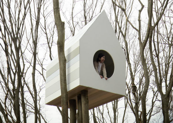 Bird_apartment_01.jpg