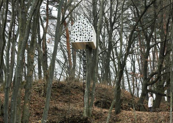 Bird_apartment_04.jpg