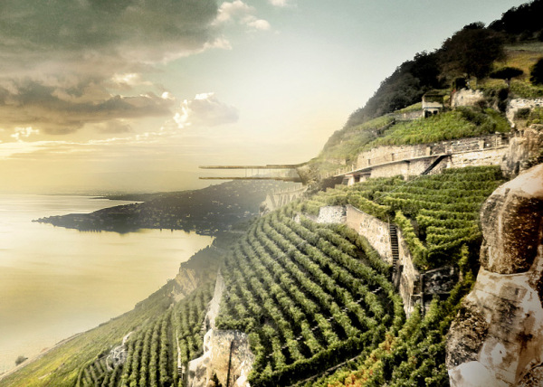 Wine_Museum_03.jpg