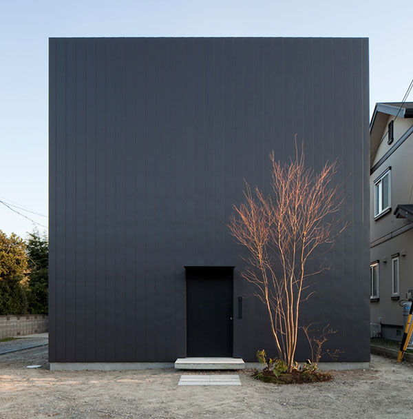 Ant-house-1.jpg