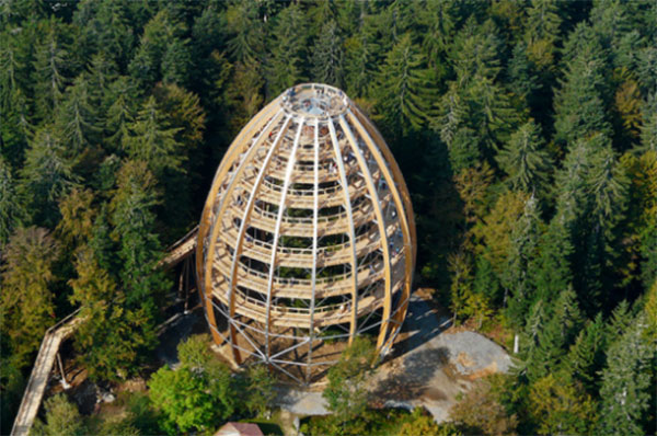 Bavarian-Forest-National-Park-3-537x357-527x350.jpg