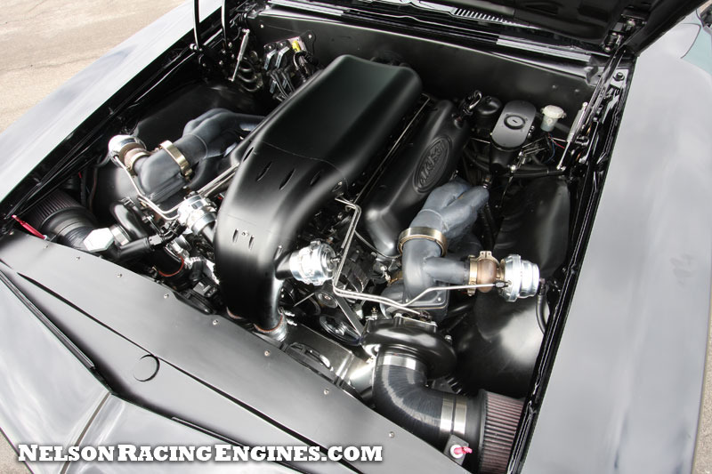 Camaro_479209.jpg