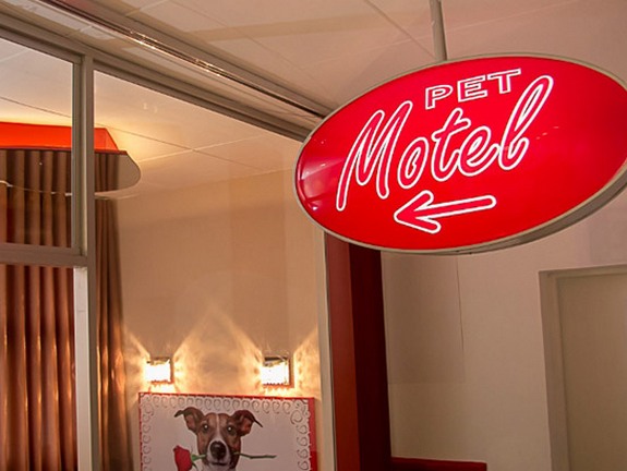 PetMotel1-1.jpg