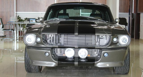 Shelby2.jpeg